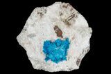 Vibrant Blue Cavansite Clusters on Stilbite & Mordenite - India #176801-1